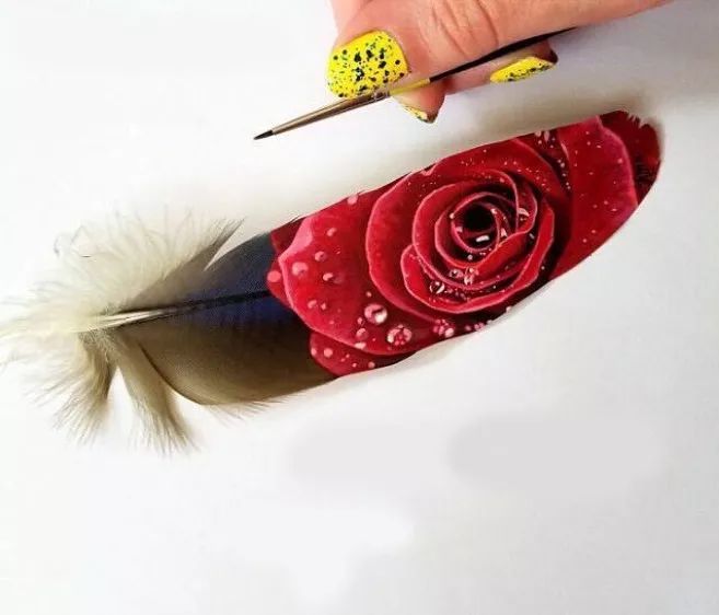 艺术源于生活：惊艳的彩绘羽毛!
