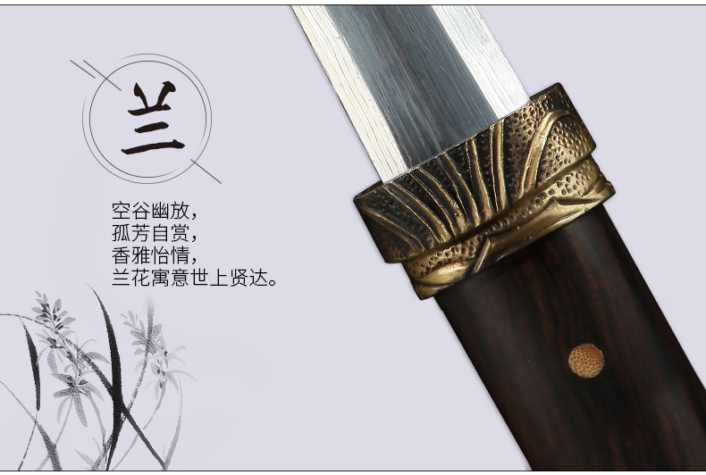 梅兰竹菊八面四君子剑，中国传统象征纹饰宝剑