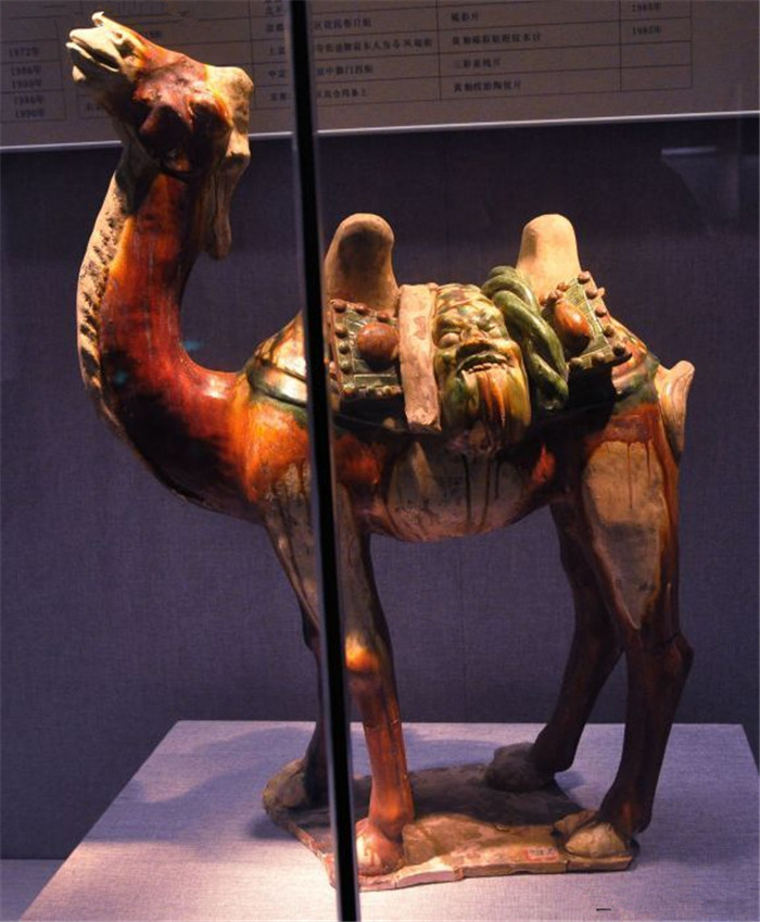 唐三彩造型特点马与骆驼