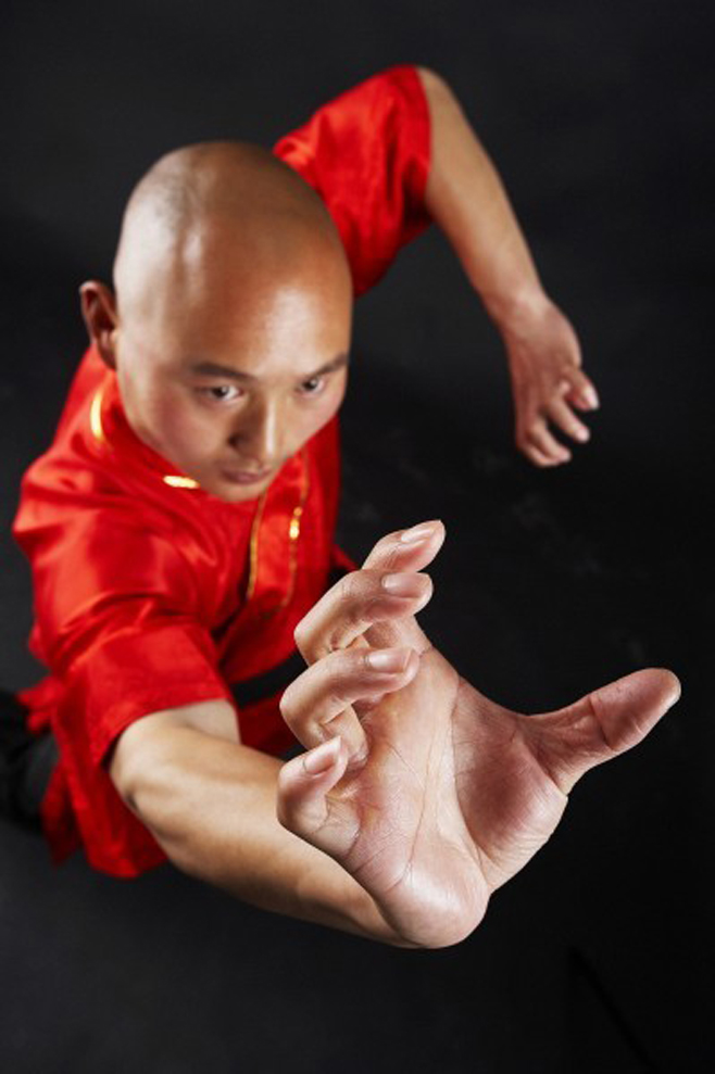 中华武术与僧侣图片（二）