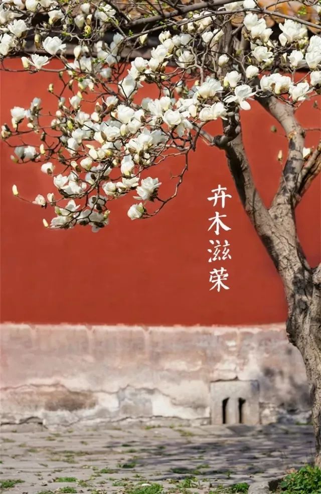 三月三中国传统文化，上巳节重拾古人风雅！