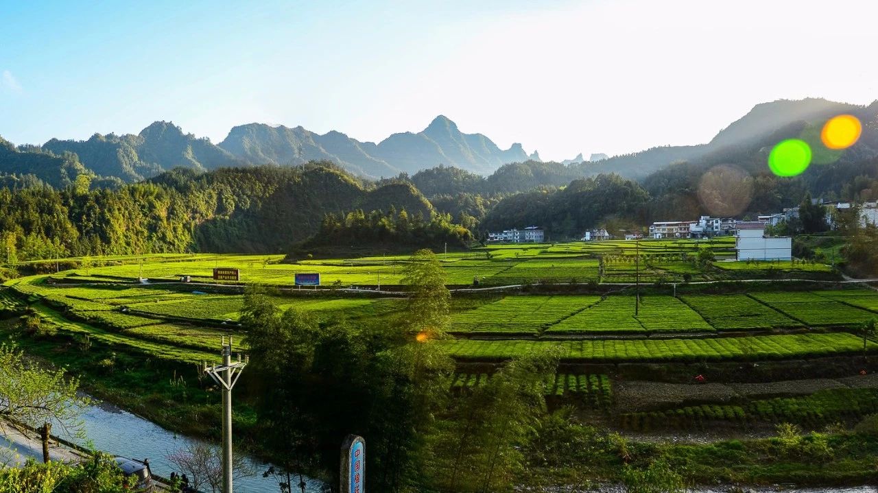 避暑游玩攻略：给这个炎热夏日一抹清凉的景色