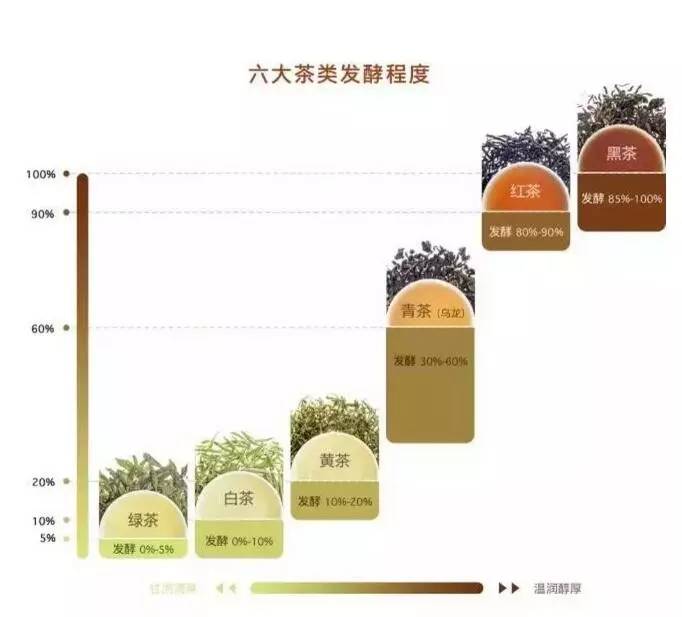 中国茶道：一次性把中国茶讲清楚
