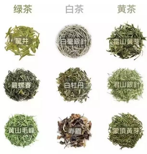 中国茶道：一次性把中国茶讲清楚