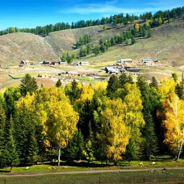 拨动心弦的人间美景：西北第一村·白哈巴