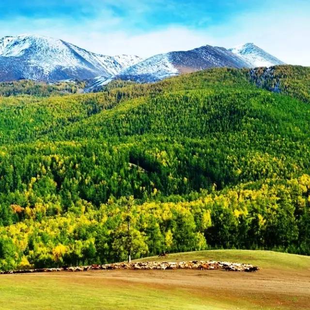 拨动心弦的人间美景：西北第一村·白哈巴