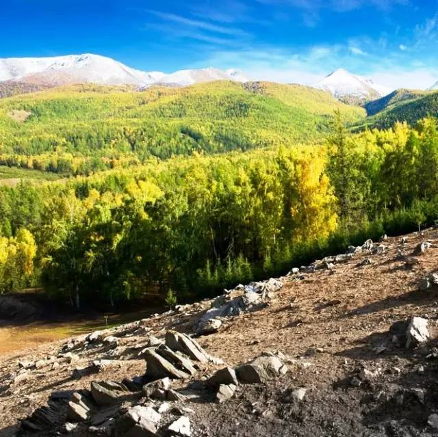 拨动心弦的人间美景：西北第一村·白哈巴