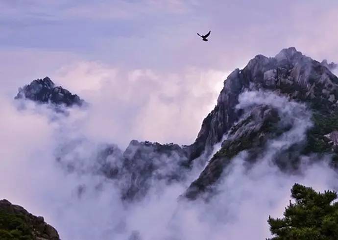 大美黄山：40幅黄山风景摄影！