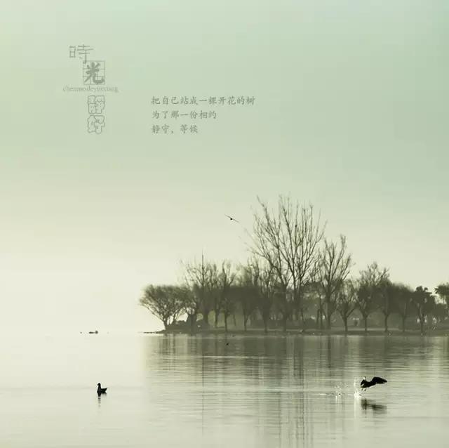 风景摄影作品时光静好：邛海景色！