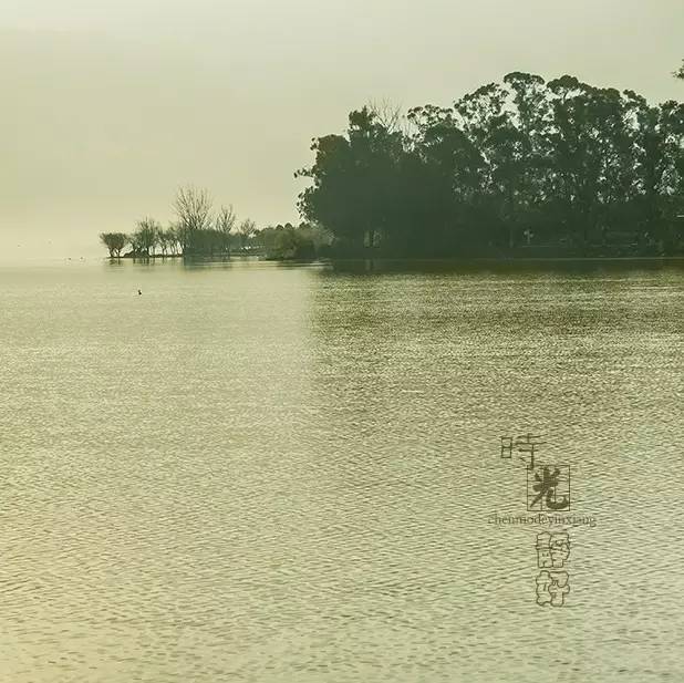 风景摄影作品时光静好：邛海景色！