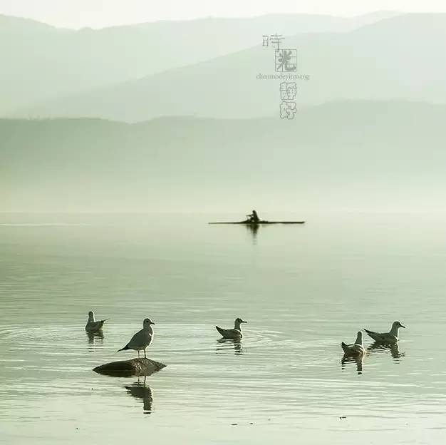 风景摄影作品时光静好：邛海景色！