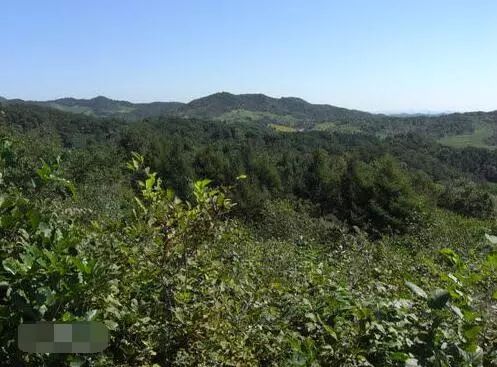 长白山余脉在昌图，三省交界风景最美地