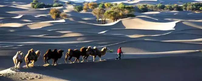 《天边的骆驼》，震撼的沙漠风景之美!