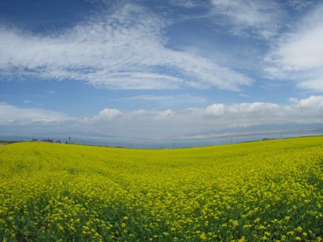 中国最美丽的地方：祖国大好山河风景