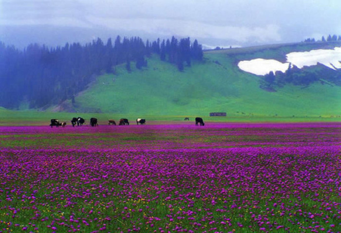 中国最美丽的地方：祖国大好山河风景