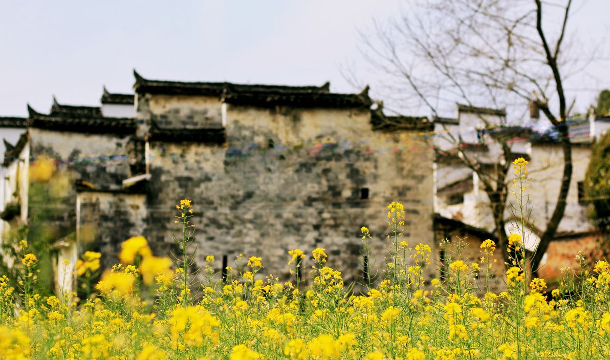 梦回西江，南昌，庐山，婺源