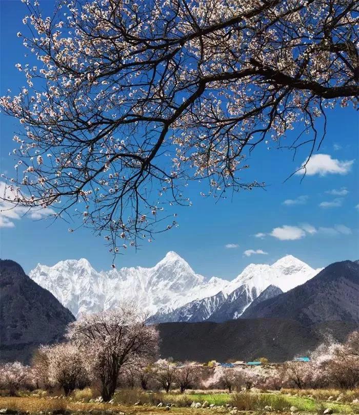 8处风景如诗如画，春天最值得去的地方！