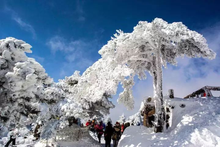 雪后黄山风景宛如人间仙境，舞一曲雪中霓裳羽