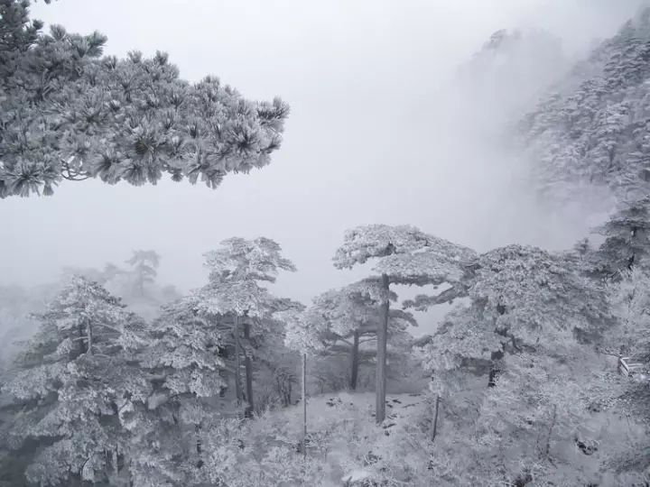 雪后黄山风景宛如人间仙境，舞一曲雪中霓裳羽