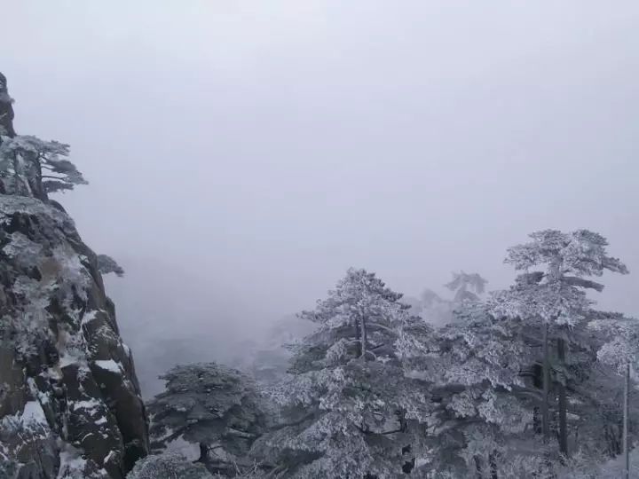 雪后黄山风景宛如人间仙境，舞一曲雪中霓裳羽