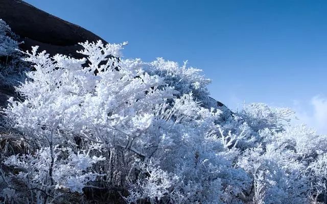 雪后黄山风景宛如人间仙境，舞一曲雪中霓裳羽