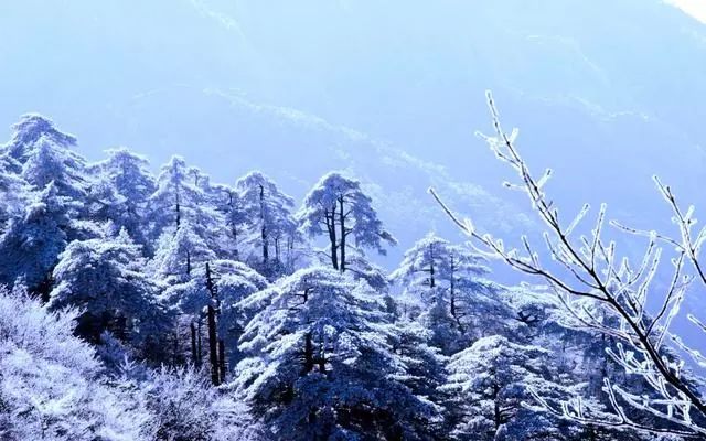 雪后黄山风景宛如人间仙境，舞一曲雪中霓裳羽