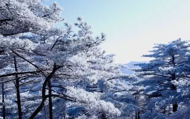 雪后黄山风景宛如人间仙境，舞一曲雪中霓裳羽