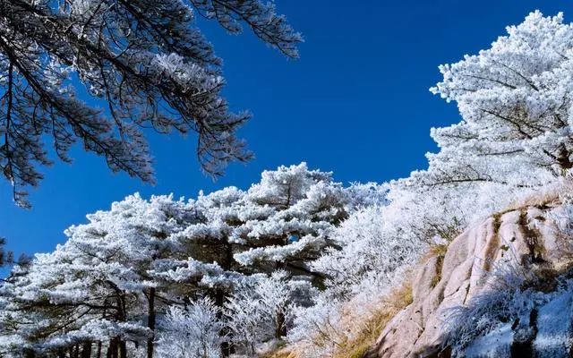 雪后黄山风景宛如人间仙境，舞一曲雪中霓裳羽