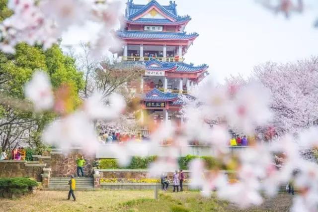 8处风景如诗如画，春天最值得去的地方！