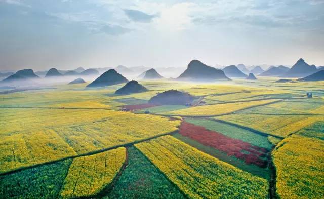 美到窒息的中国最美油菜花海，邂逅花海风景！