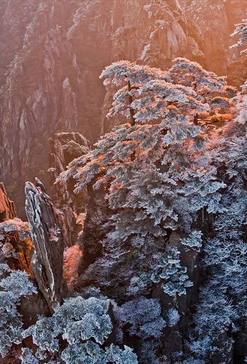 雪后黄山风景宛如人间仙境，舞一曲雪中霓裳羽