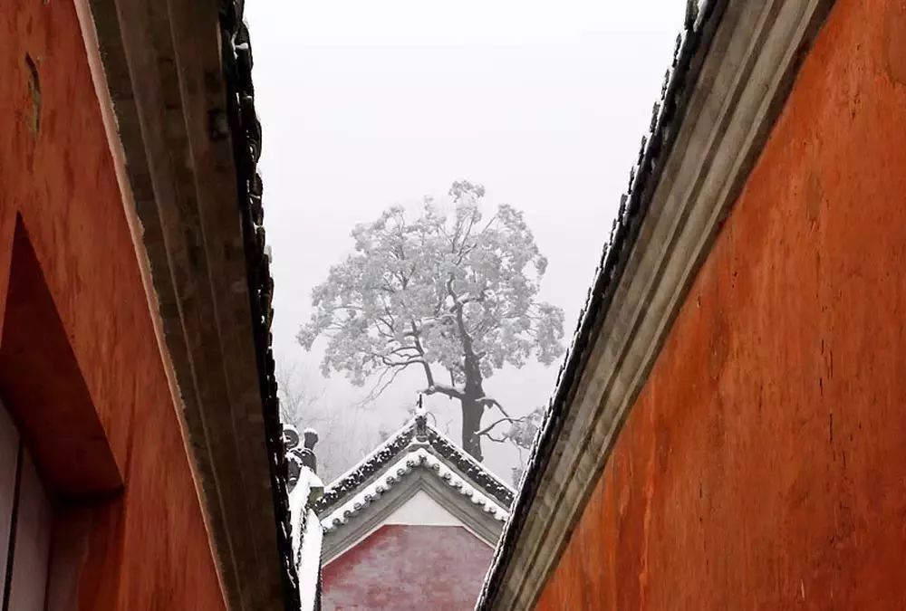 武当山雪景摄影：雪后武當是仙山