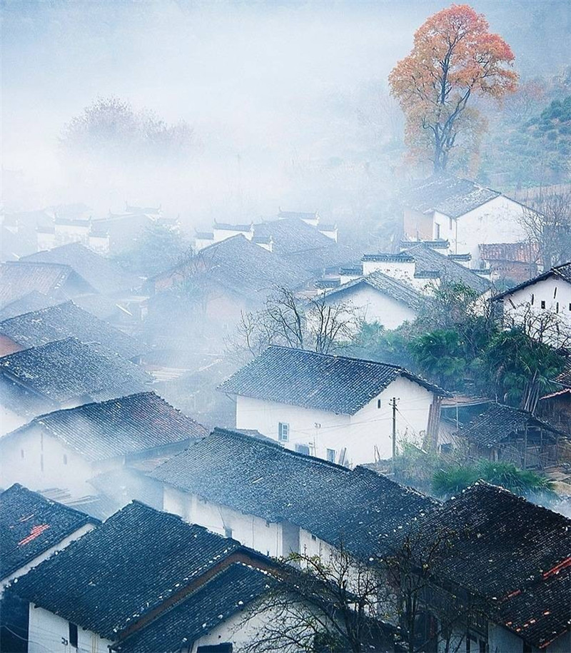 山中那绝美田园村落的景色