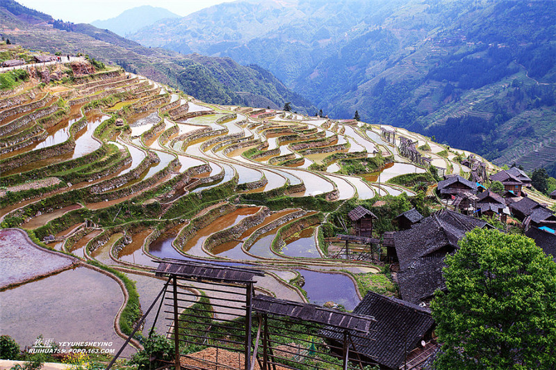 贵州苗寨梯田吊脚楼景色