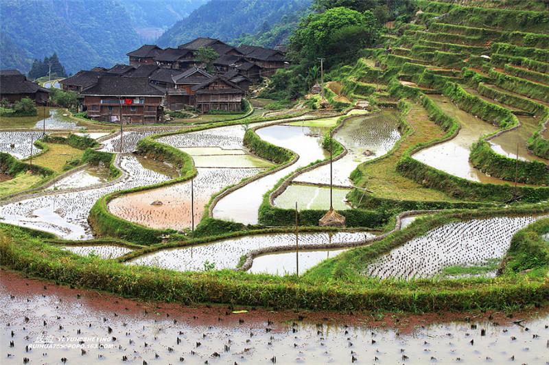 贵州苗寨梯田吊脚楼景色