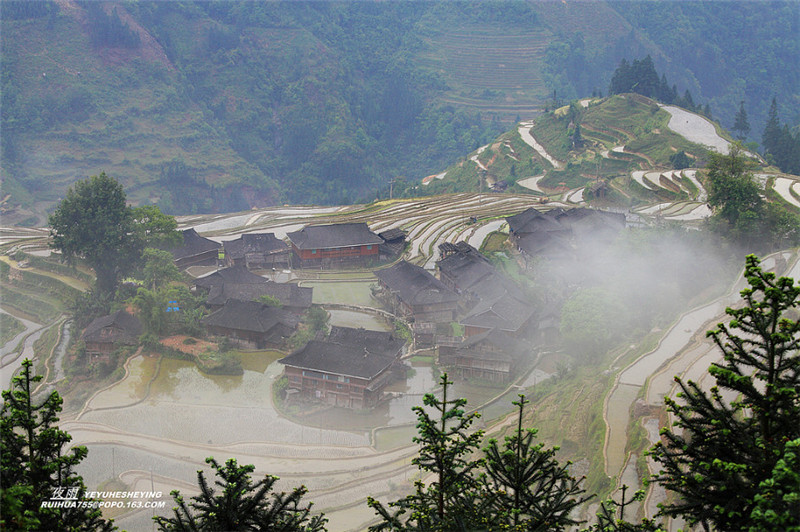 贵州苗寨梯田吊脚楼景色