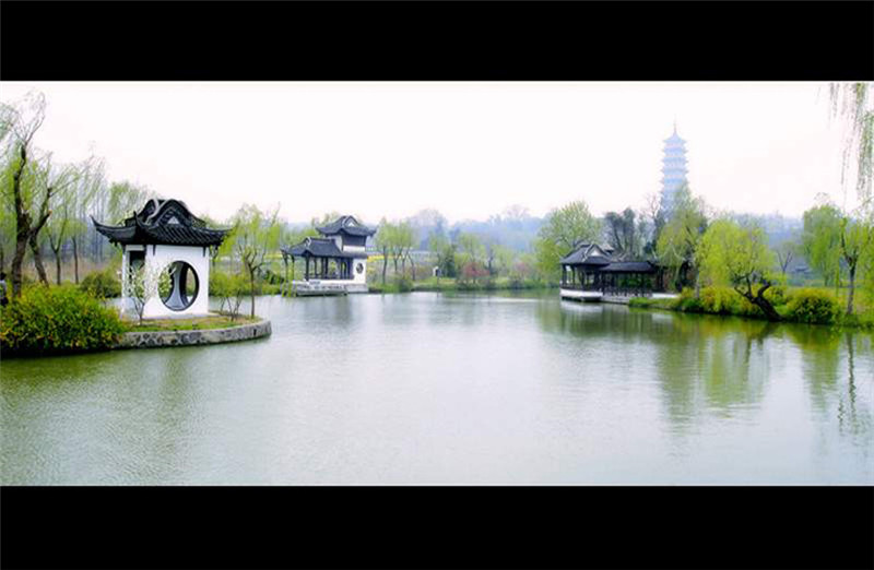 扬州三月河岸春色摄影