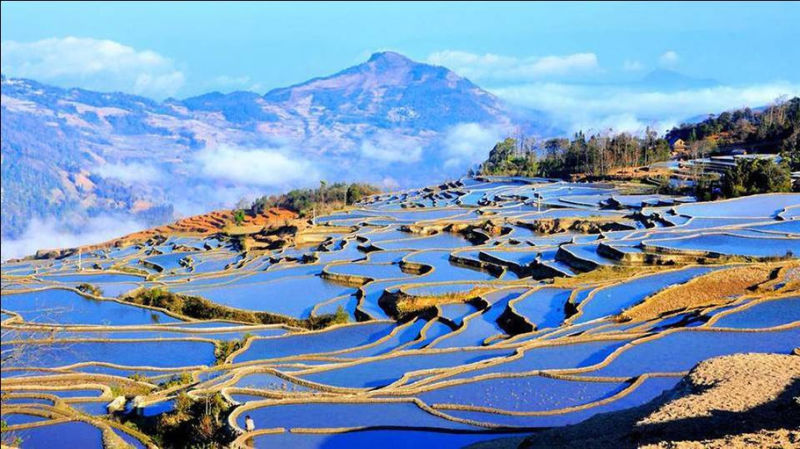 蓝色的元阳梯田风光摄影