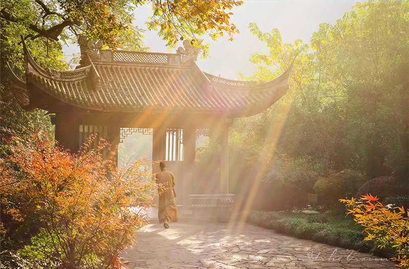 山中寺庙林间美景