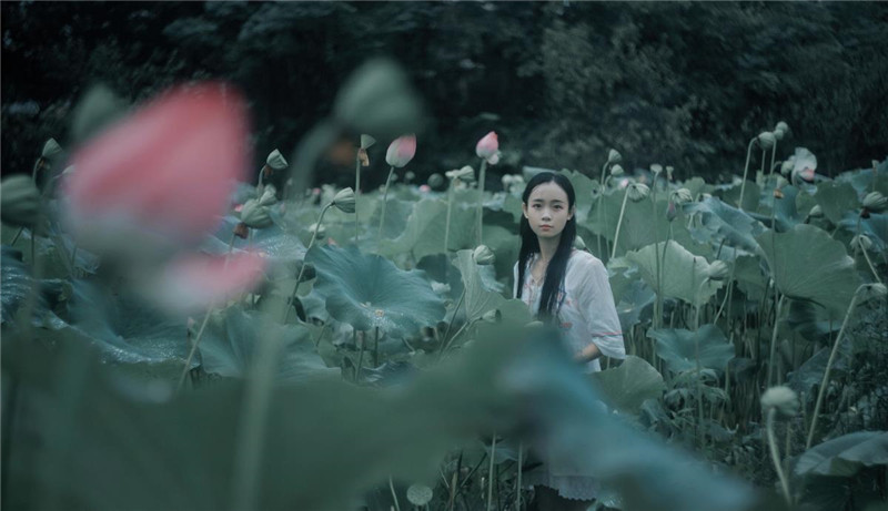 烟雨荷塘古装人物摄影照片