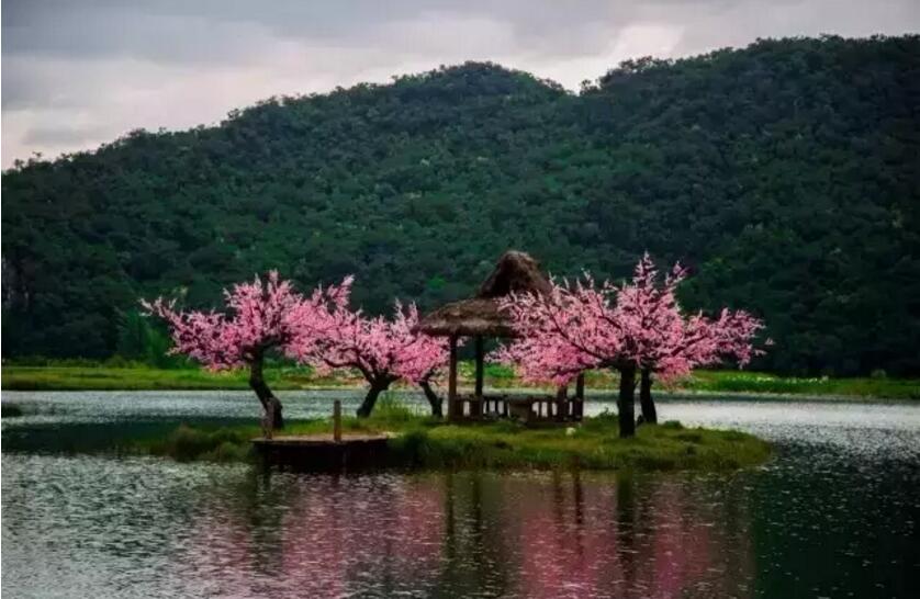 《三生三世十里桃花》的外景拍摄地！