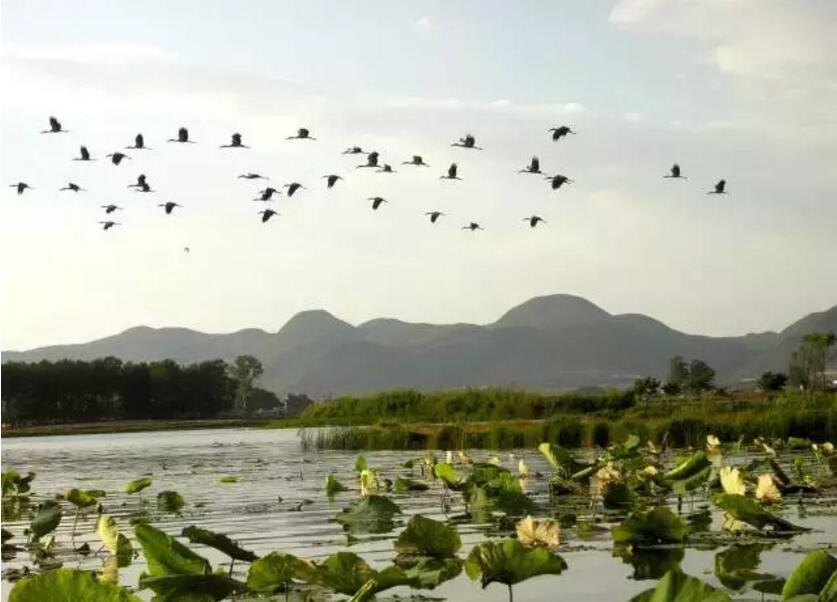 《三生三世十里桃花》的外景拍摄地！