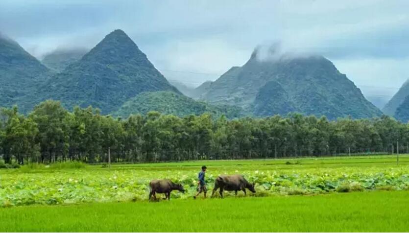 《三生三世十里桃花》的外景拍摄地！