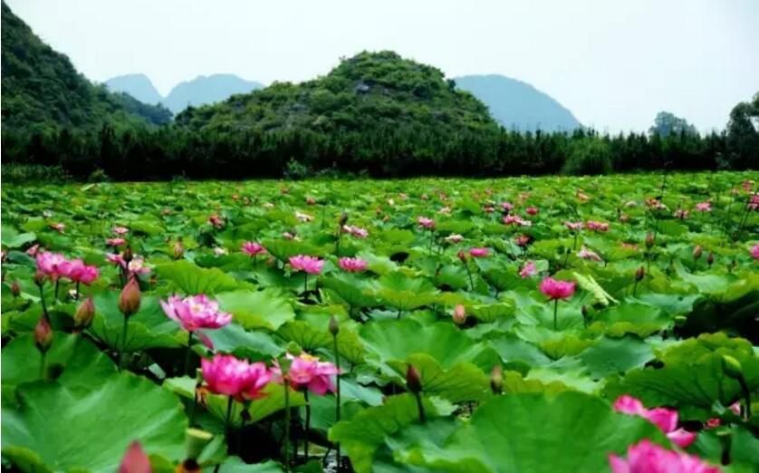 《三生三世十里桃花》的外景拍摄地！