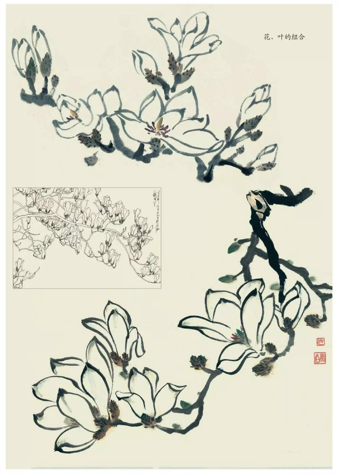 国画技法：超详细的国画各种花卉画法大全!