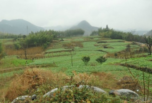 如何从表面判断墓地的风水情况？看墓地风水的