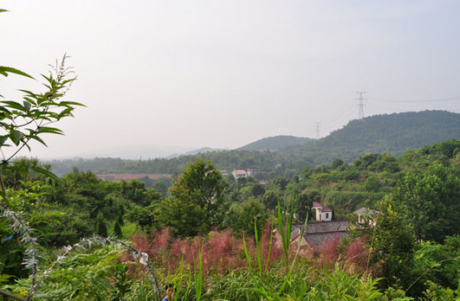 林彪祖坟风水好吗？揭秘林彪祖坟风水