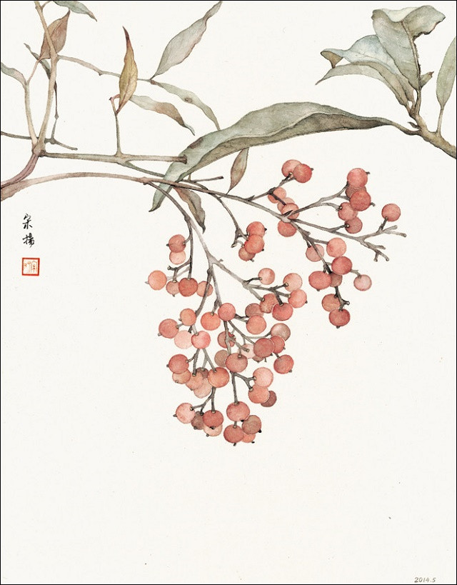 古典清雅宋扬国画植物家具工笔画（二）