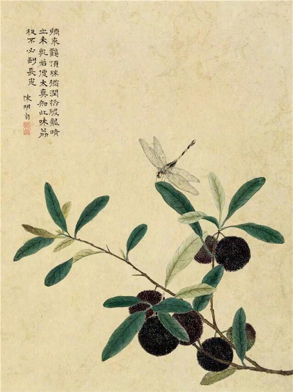 明清时代画家陈明自绘画的花卉动物