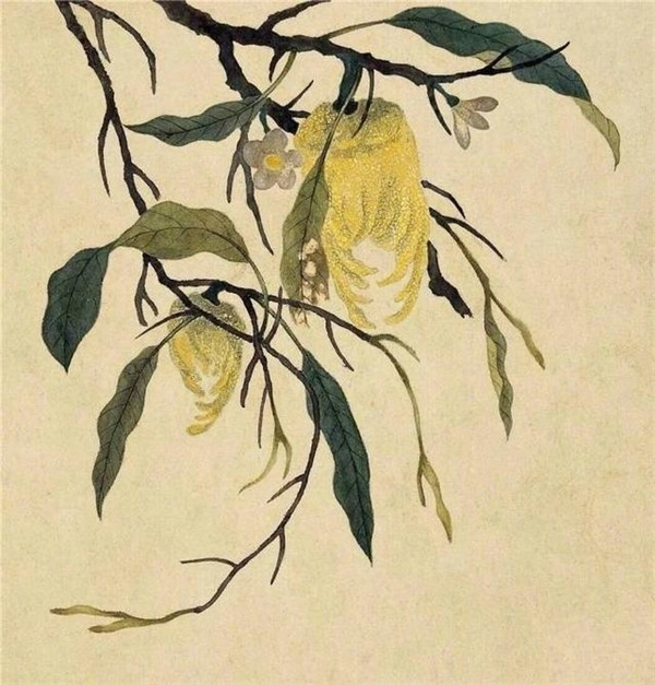 明清时代画家陈明自绘画的花卉动物